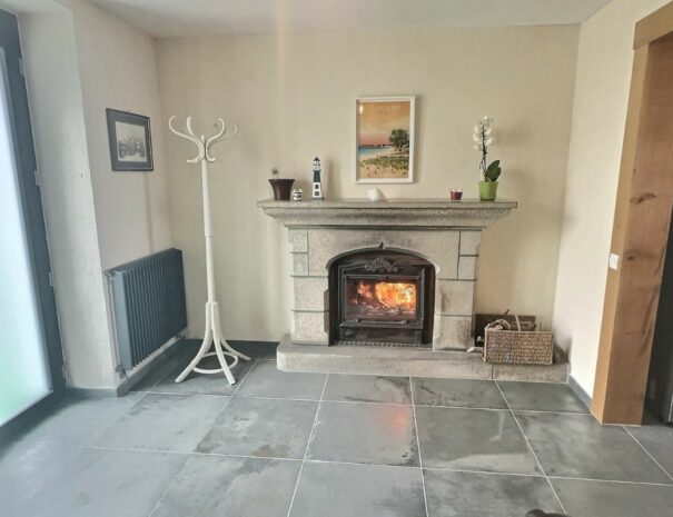 Entrée et salon avec insert